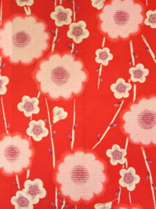 槍梅　綿　長着