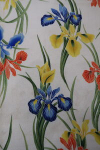 菖蒲　　縮緬　　長着